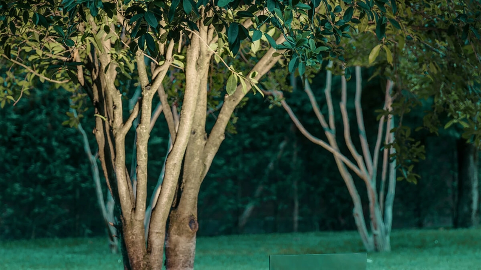 Lampada da esterno resa invisibile dalla riflessione del contesto ambientale sulla superficie a specchio Belladinotte di Davide Groppi